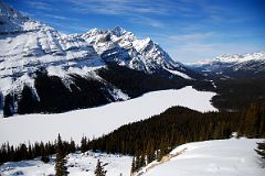 
Peyto Lake, Caldron Peak, Mount Patterson, Mount Wilson, Mount Murchison From Near Icefields Parkway
